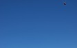  tolles Fliegen